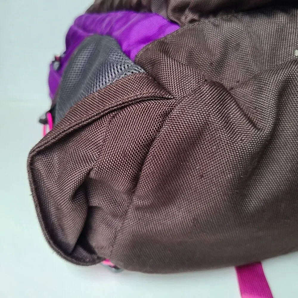 The North Face Jester Backpack Purple Brown Pink School Hiking Book Bag Pack